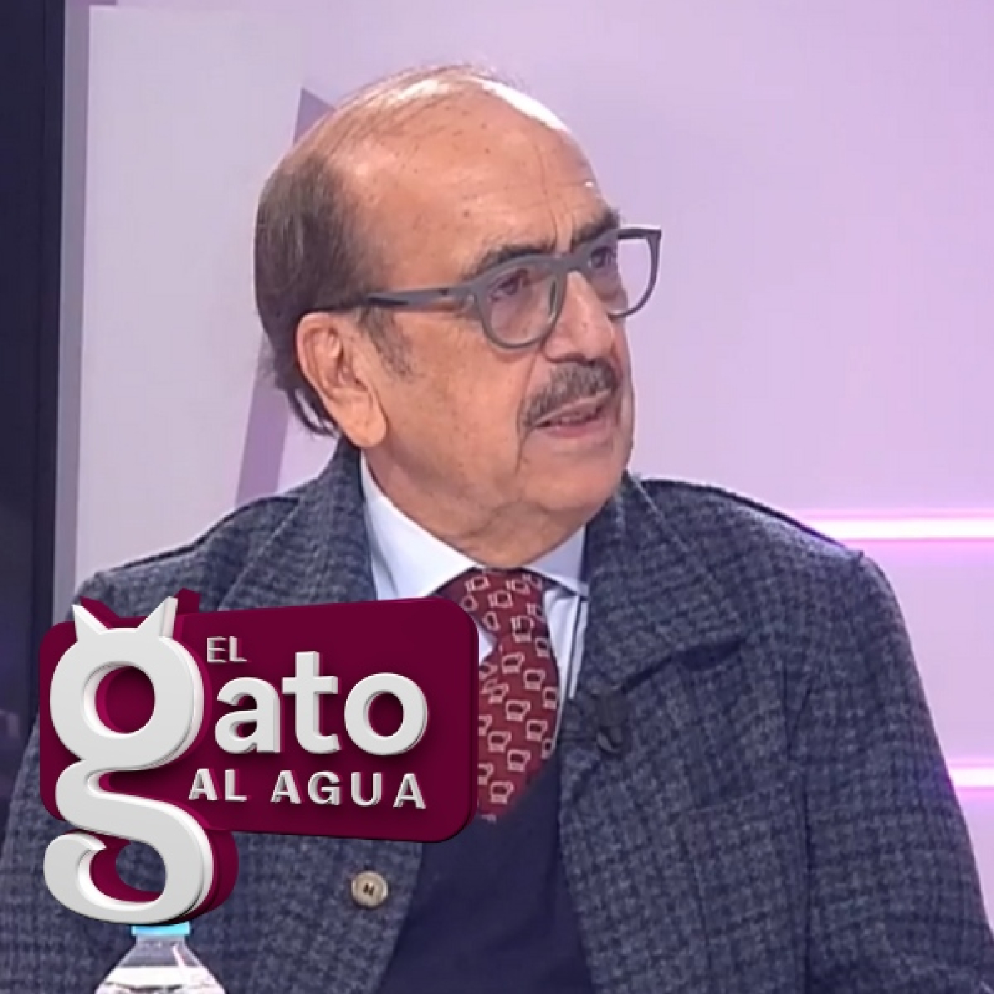El Gato al agua