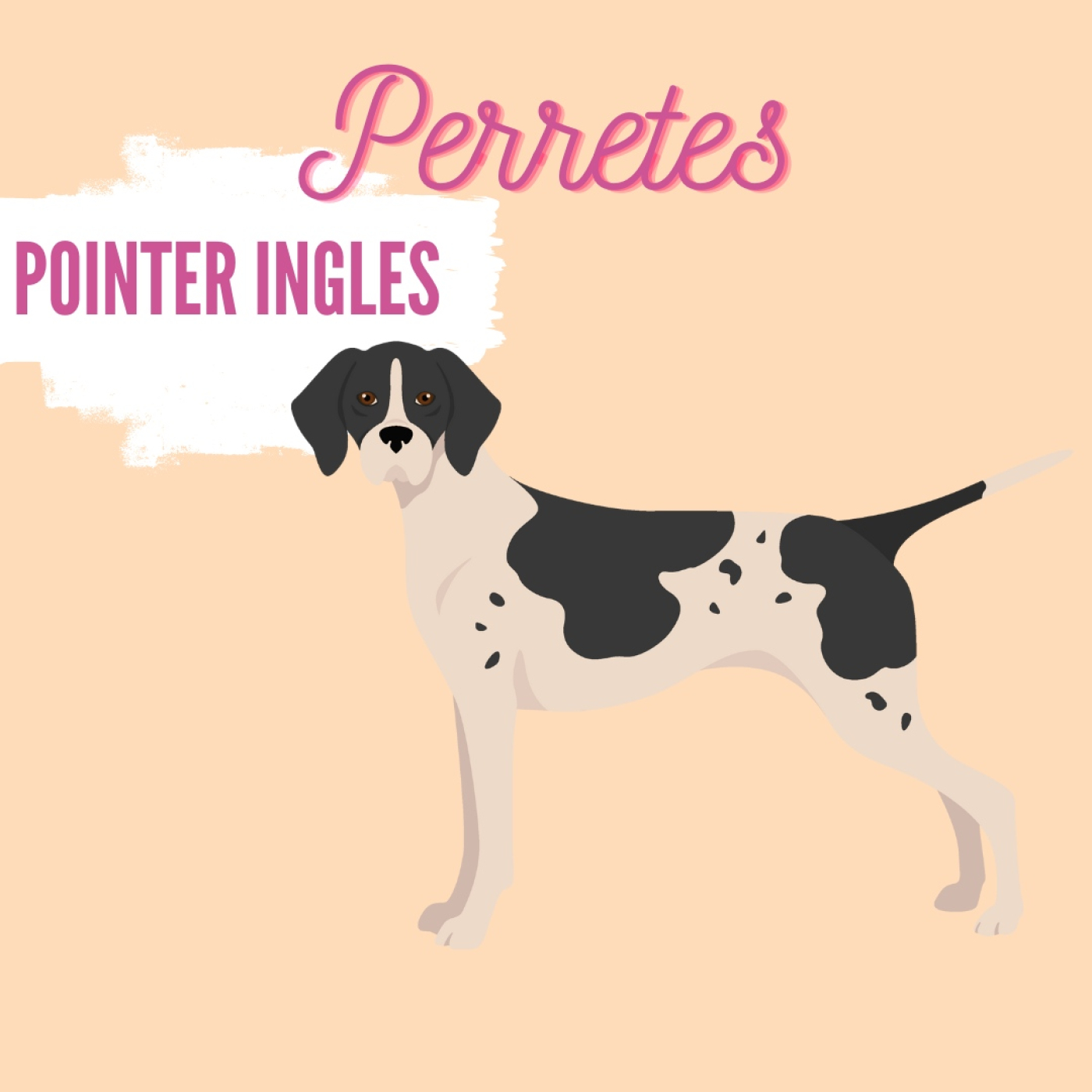 Perretes | Las razas de perros