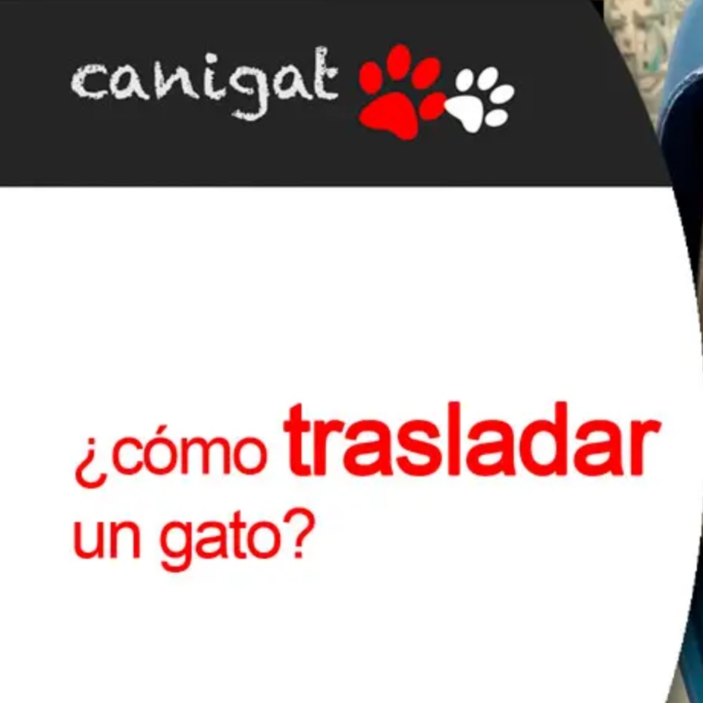 Consejos veterinarios de perros y gatos by canigat
