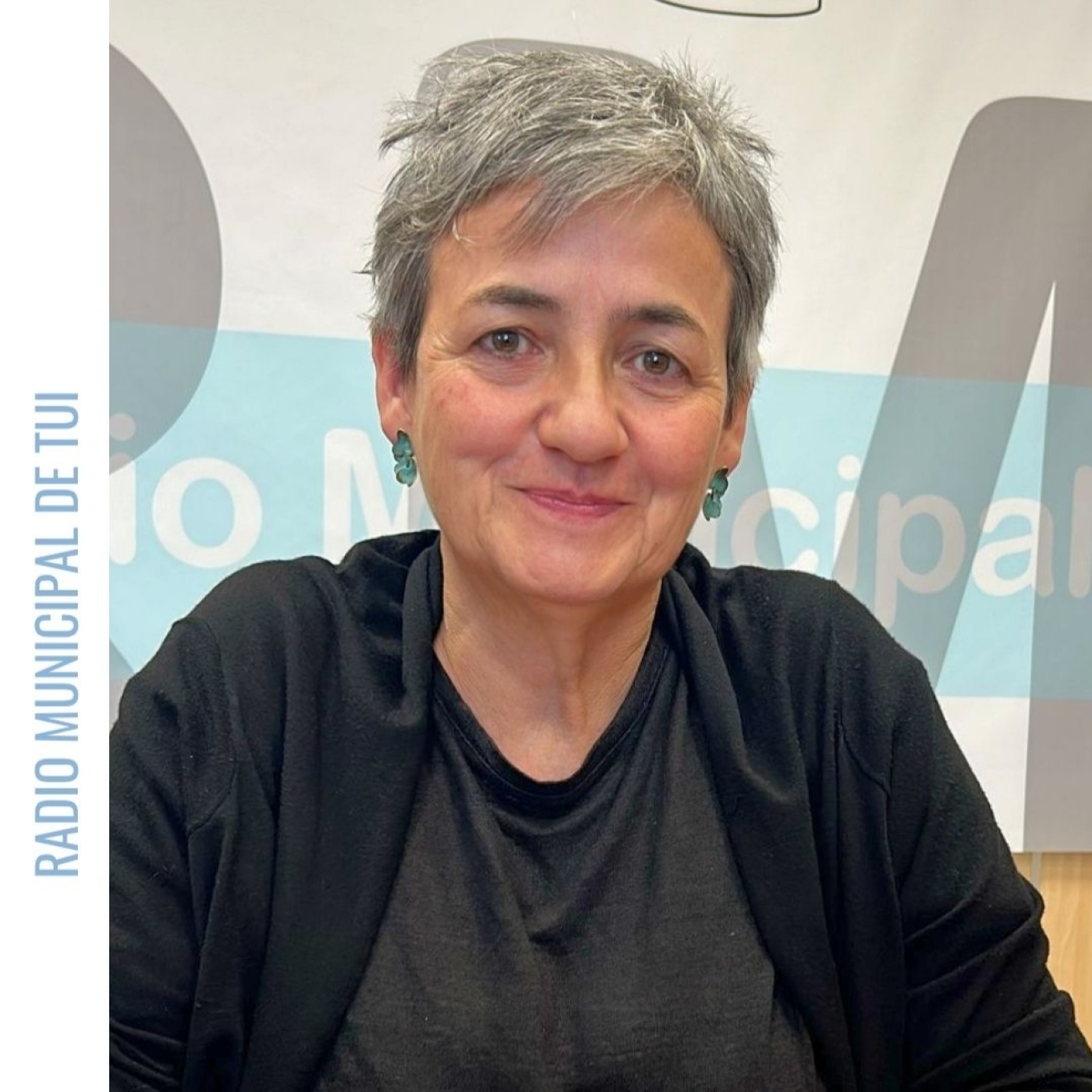 Ent. Carmen Núñez, voceira do BNG -Rolda Pleno Maio episode artwork