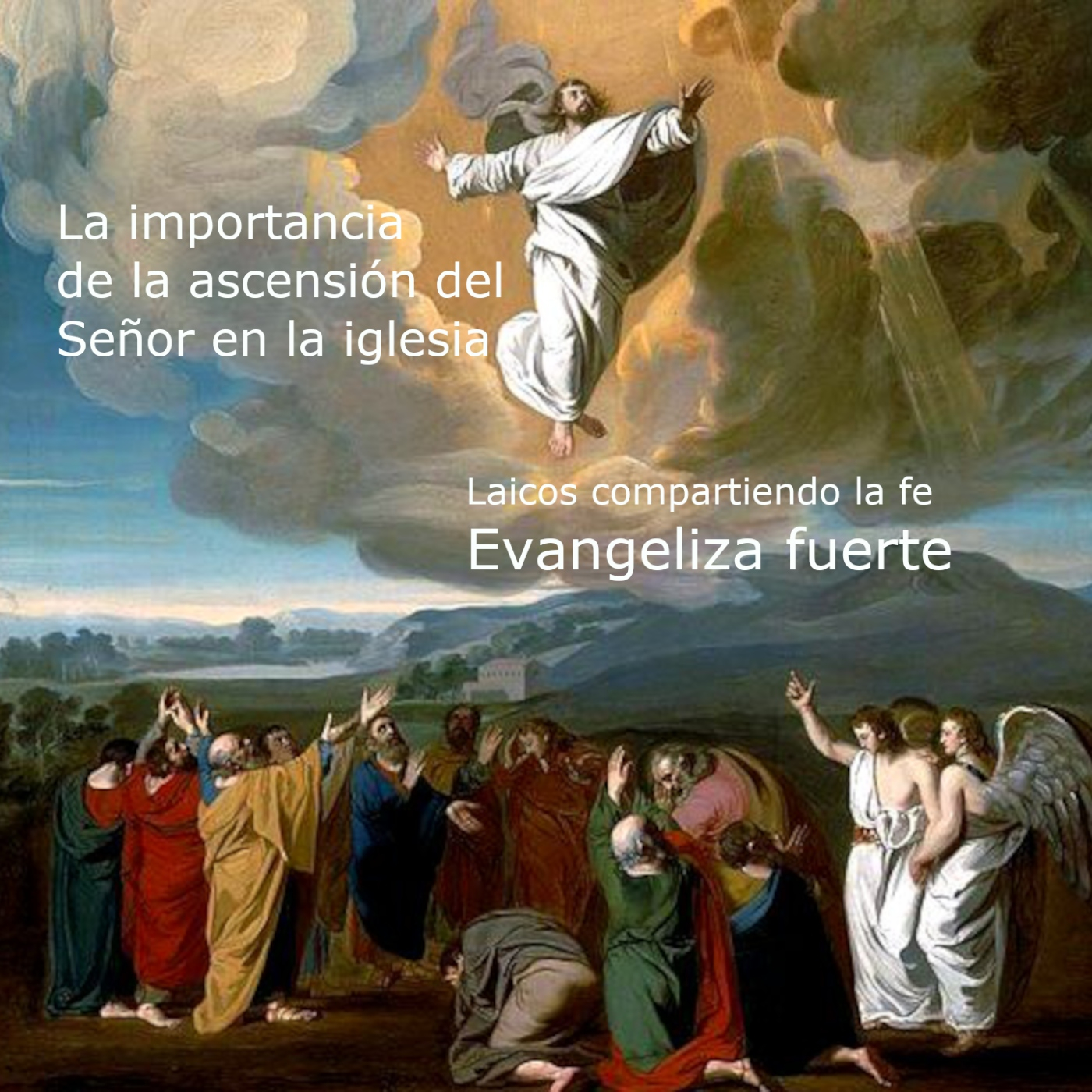 Laicos compartiendo la fe