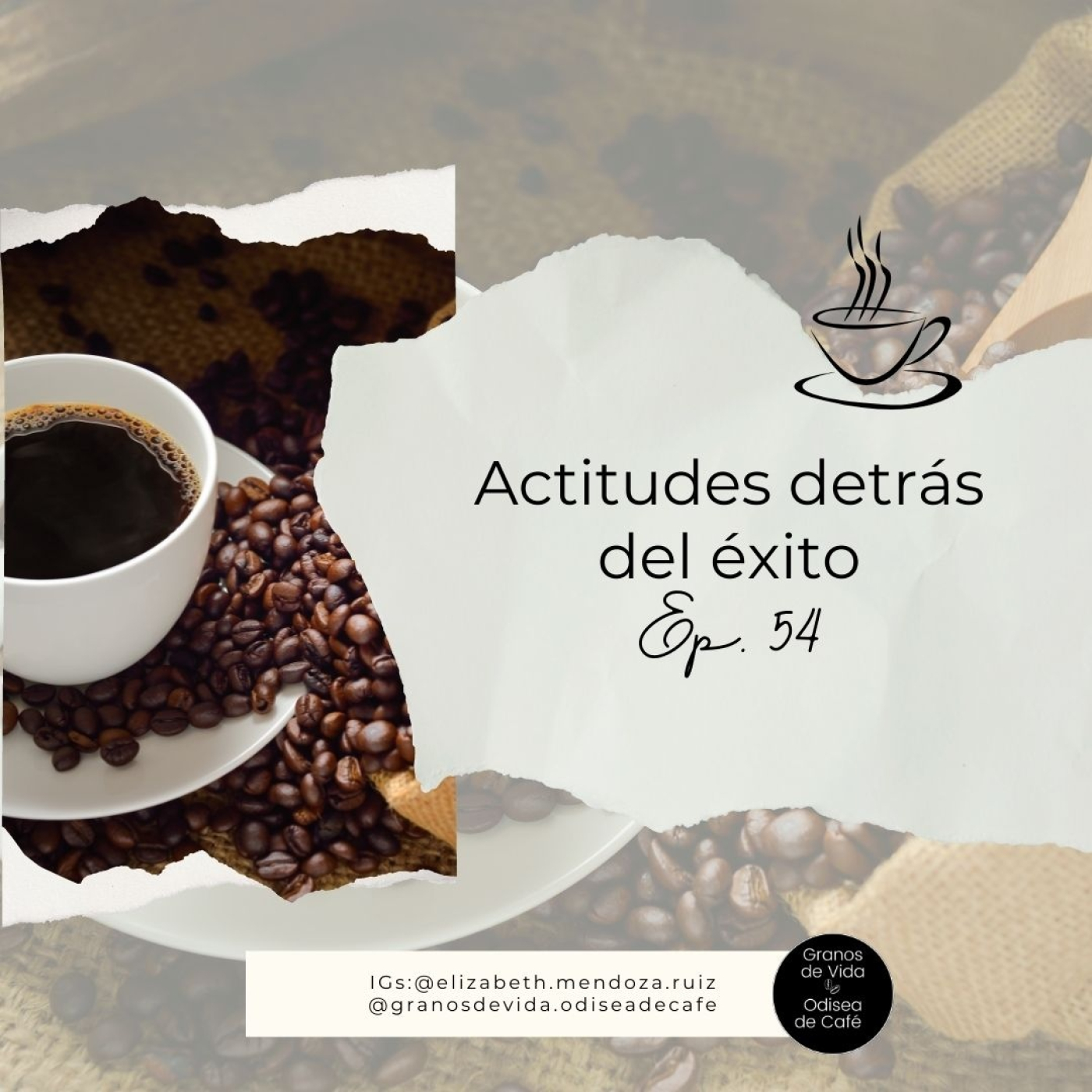 Granos de Vida/Odisea de Café