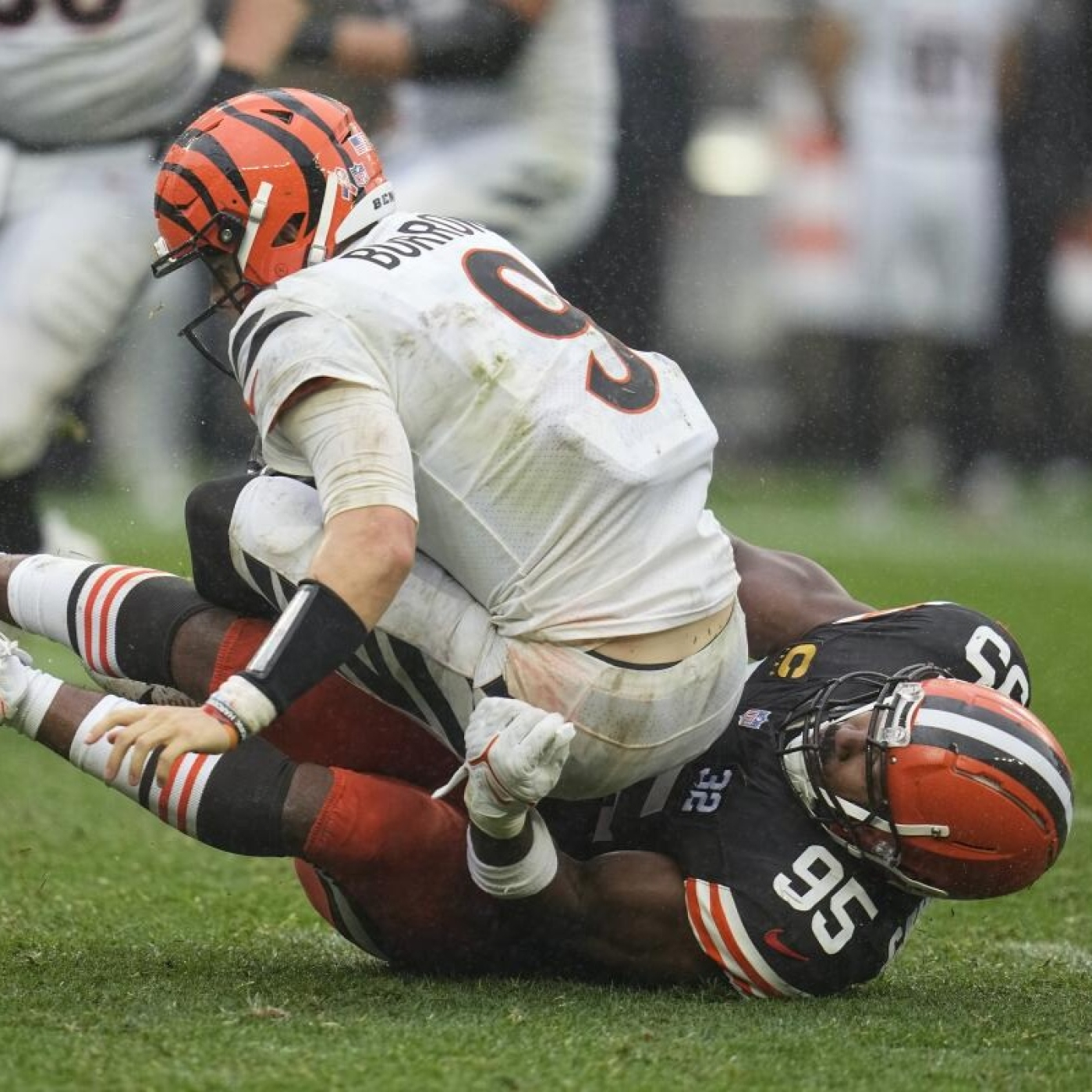 La Jungla Hispana - Bengals.es