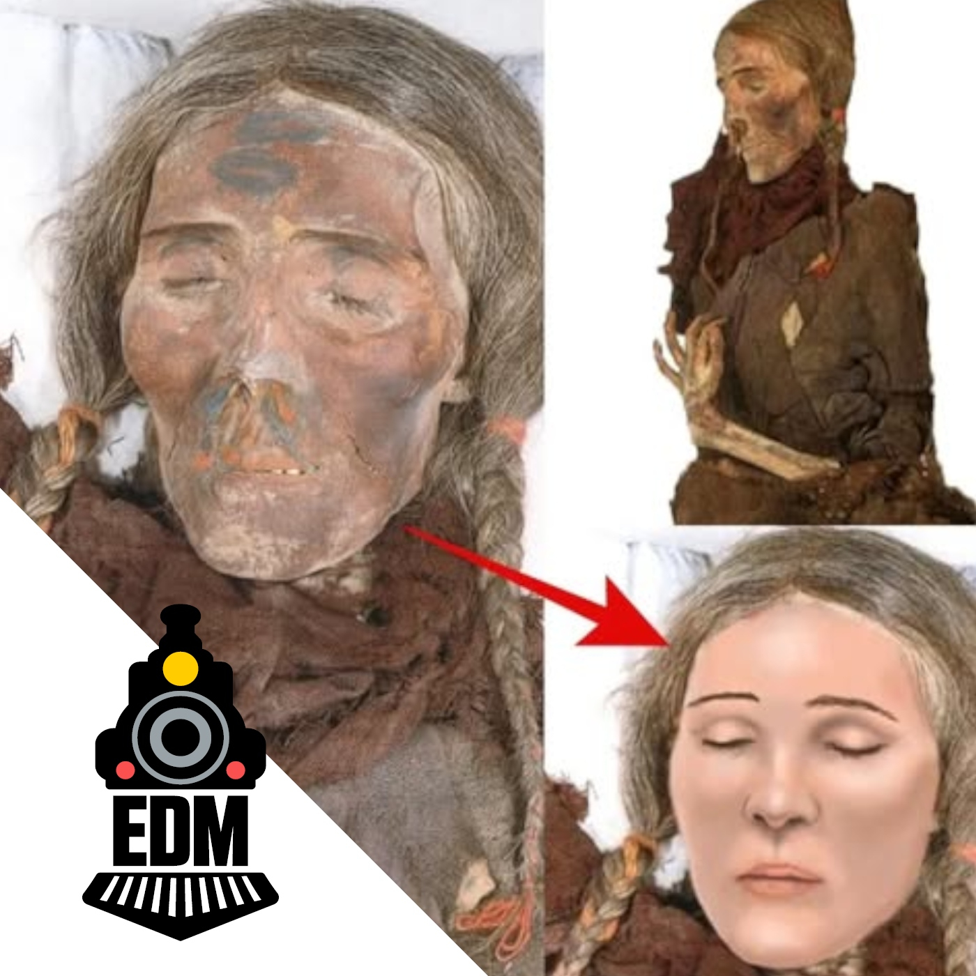 "Ecos del pasado: Momias, Manuscritos perdidos y otras Leyendas" T12X14