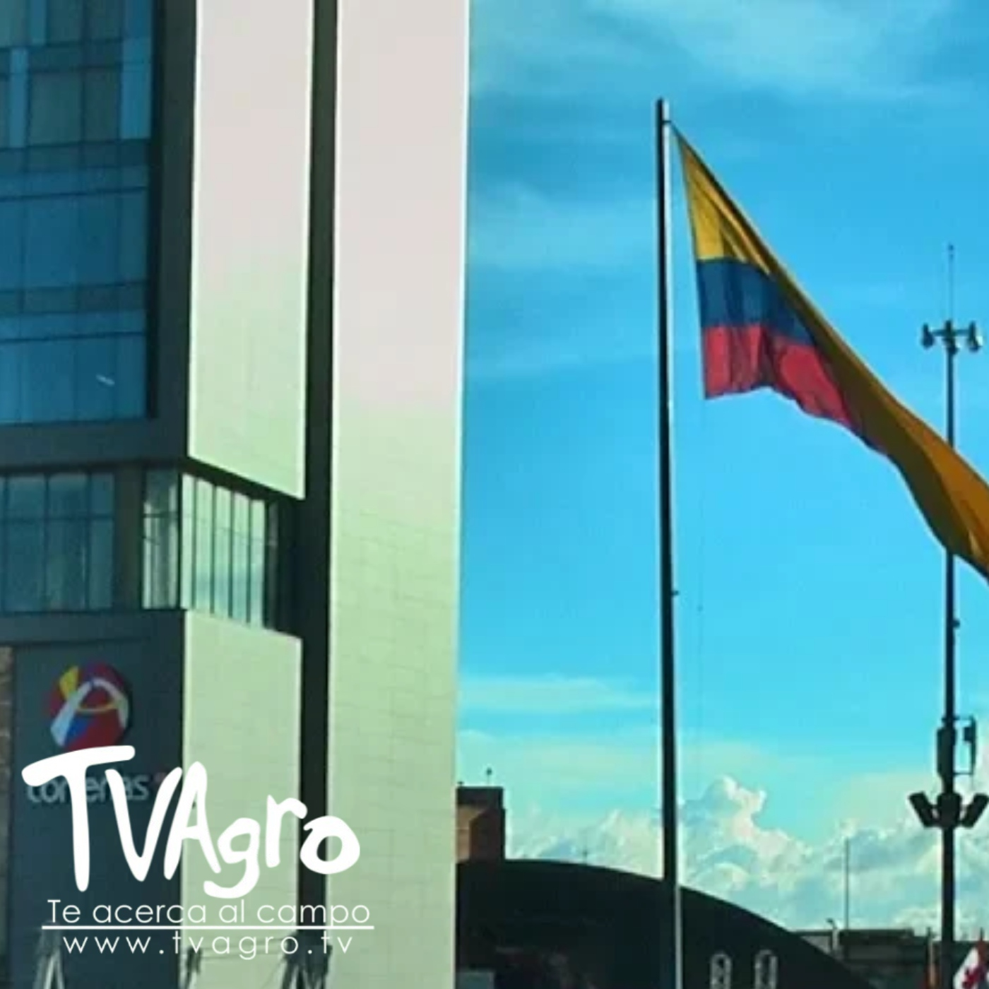 TV AGRO