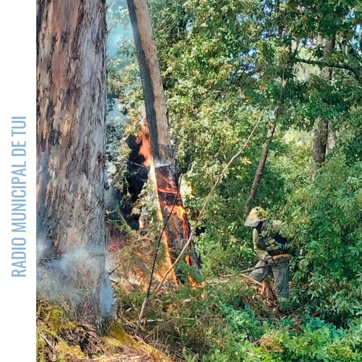 Ent. Enrique Cabaleiro, alcalde de Tui | Incendio forestal en Rebordáns episode artwork