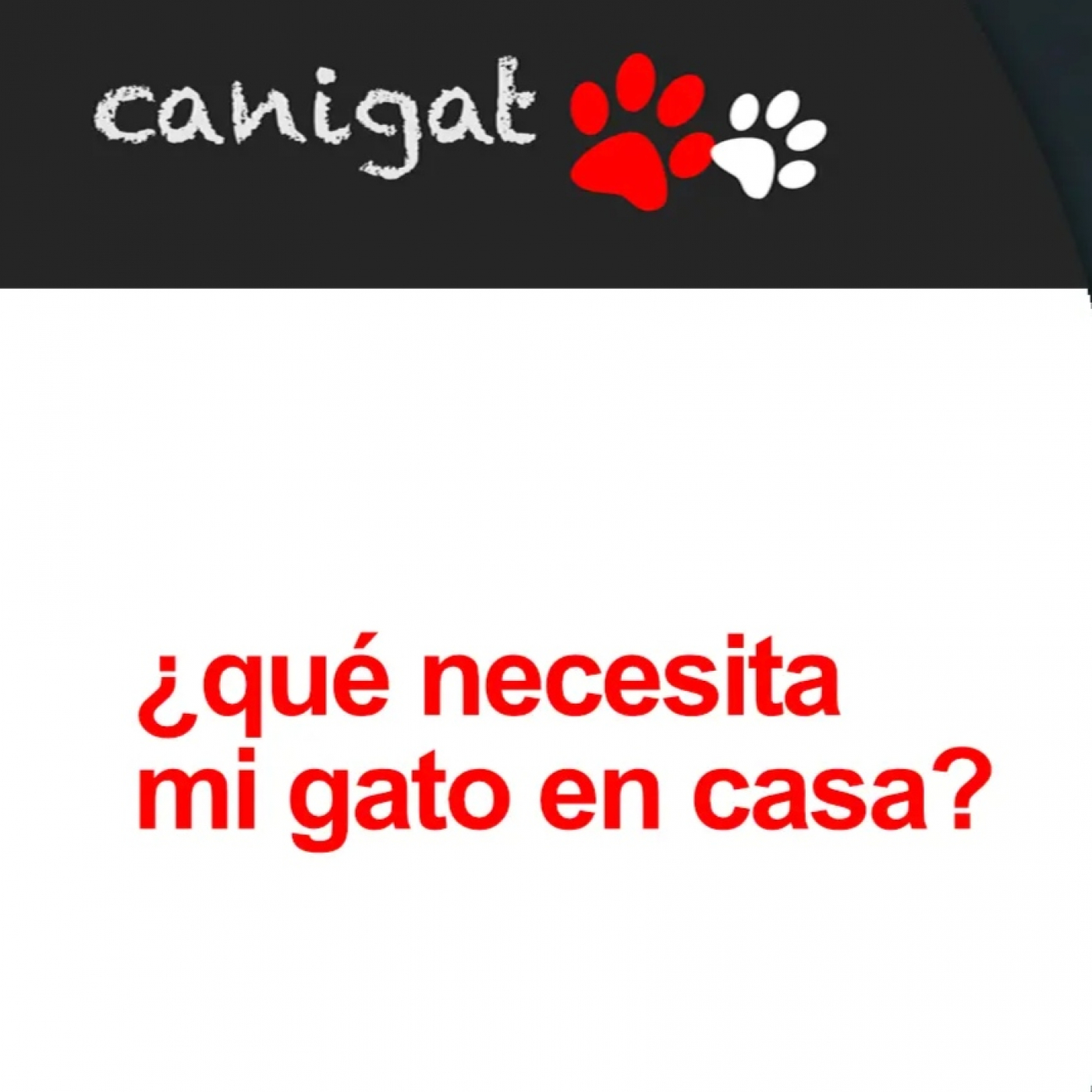 Consejos veterinarios de perros y gatos by canigat