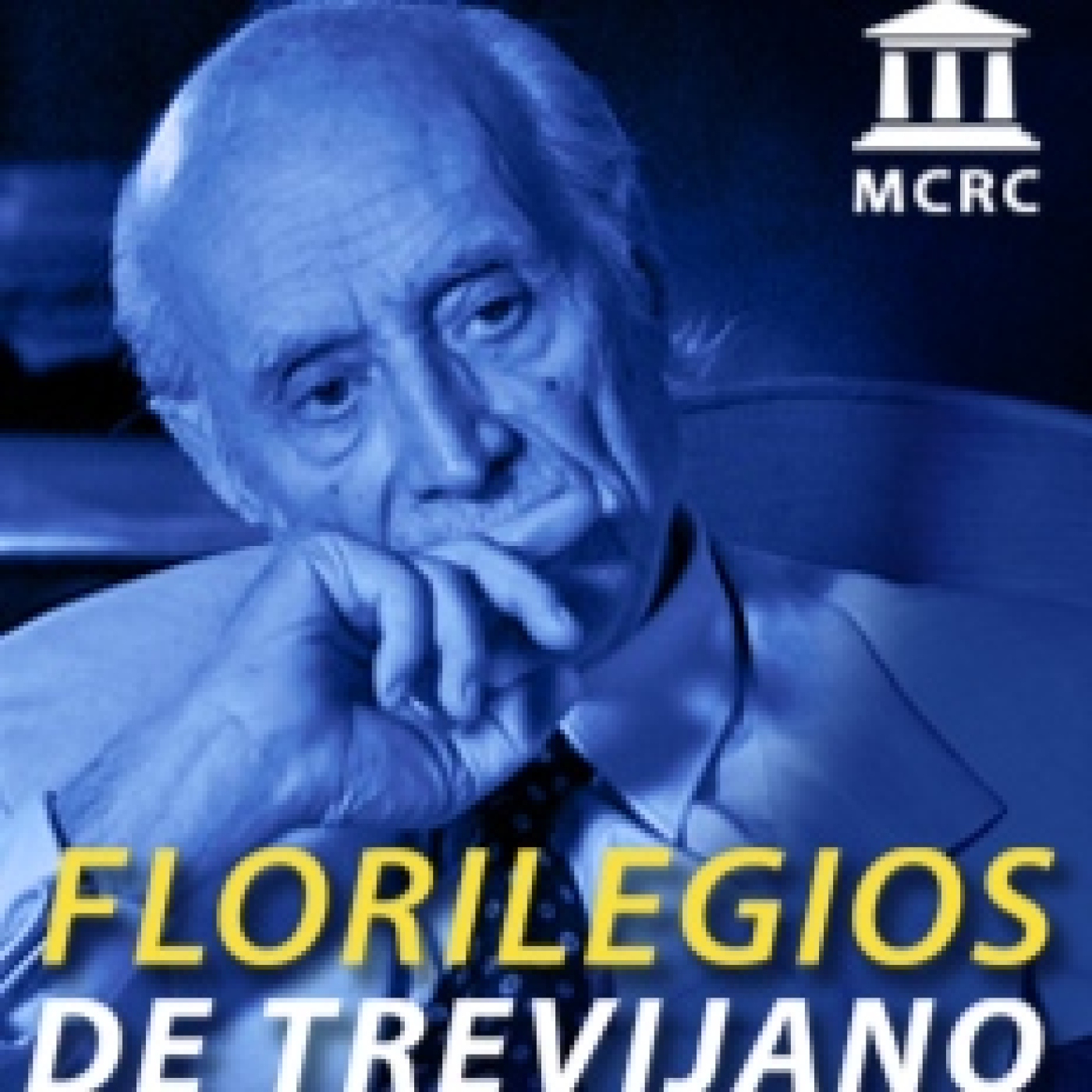 Radio Libertad Constituyente