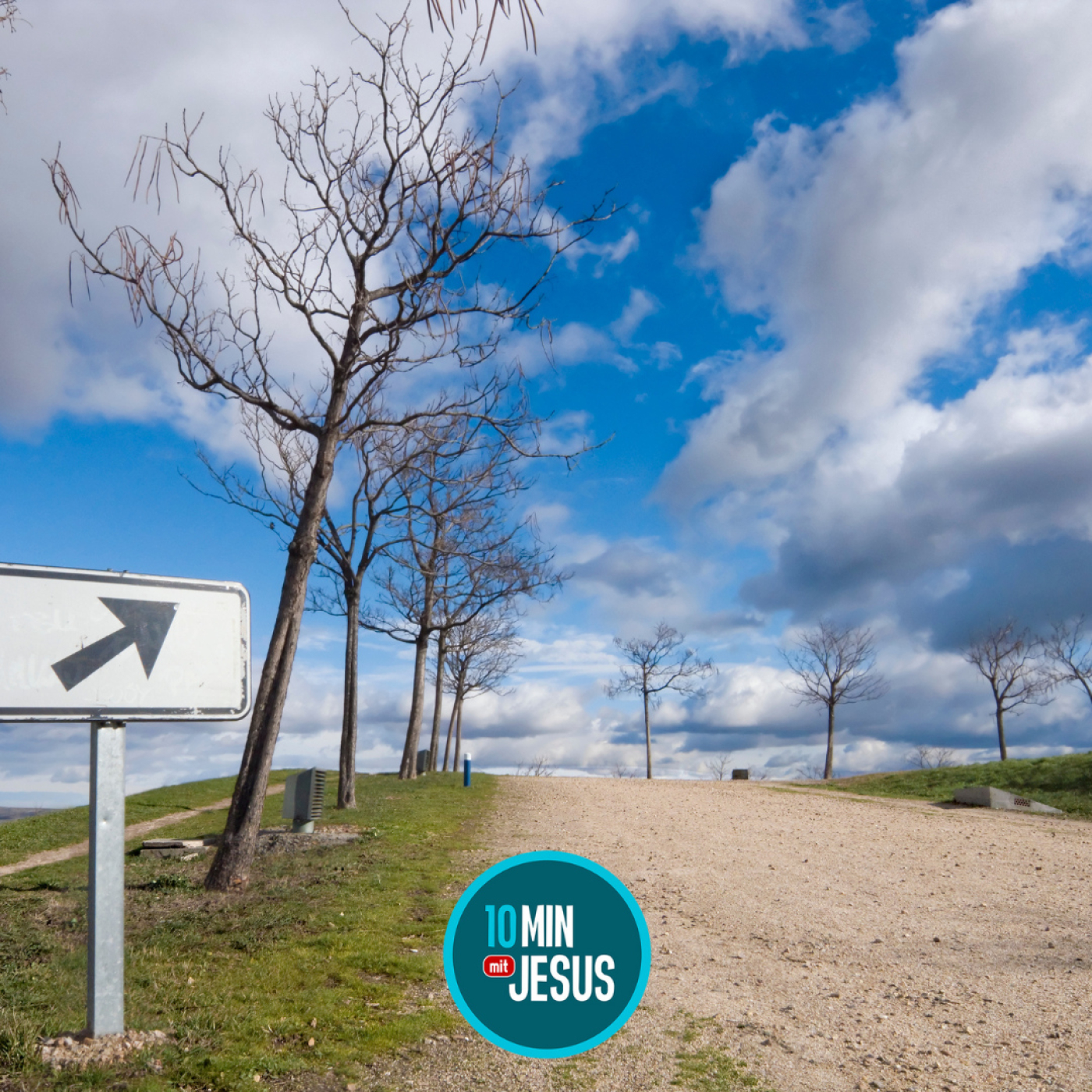 Pfiffig unterwegs zum Himmel! (08-11-2024)