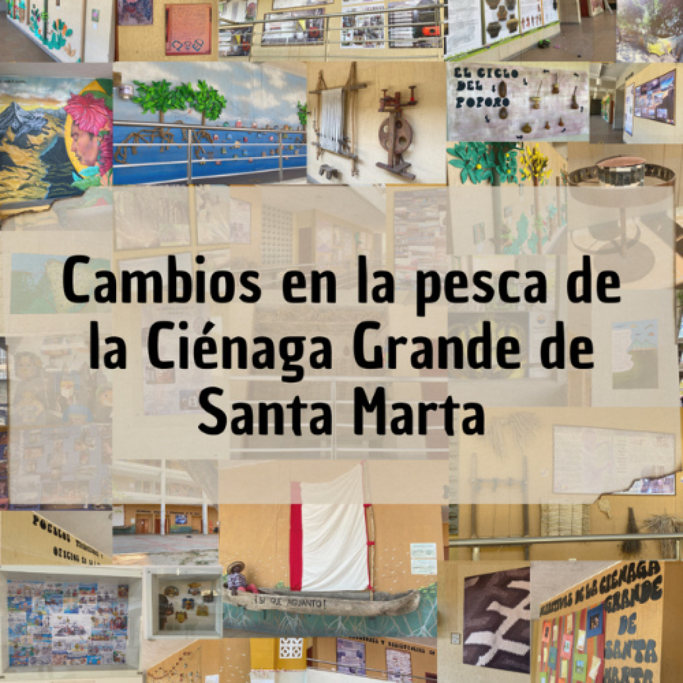 Sonoridades museográficas del Caribe colombiano