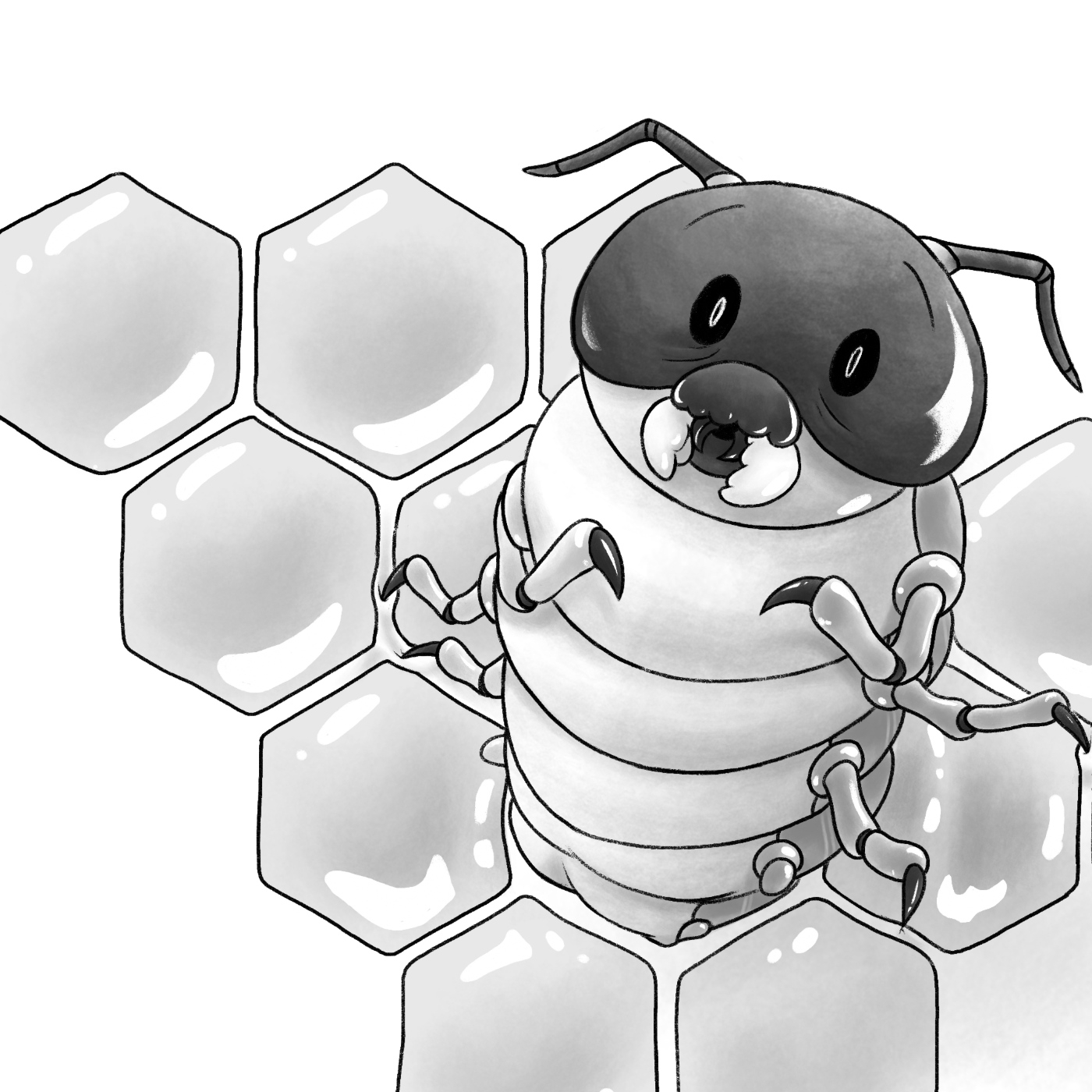 Oliver Ray Audiolibros