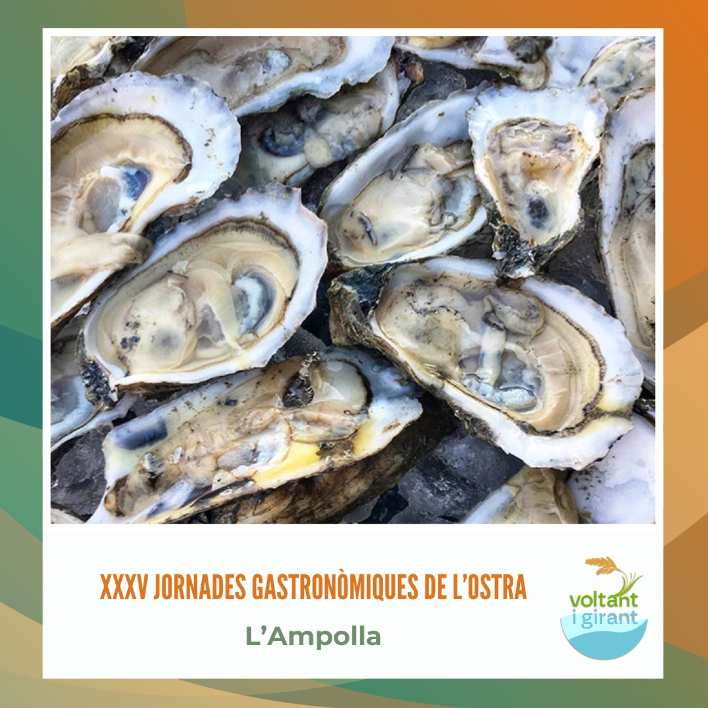 L’Ampolla dona el tret de sortida a les XXXV Jornades Gastronòmiques de l’Ostra episode artwork