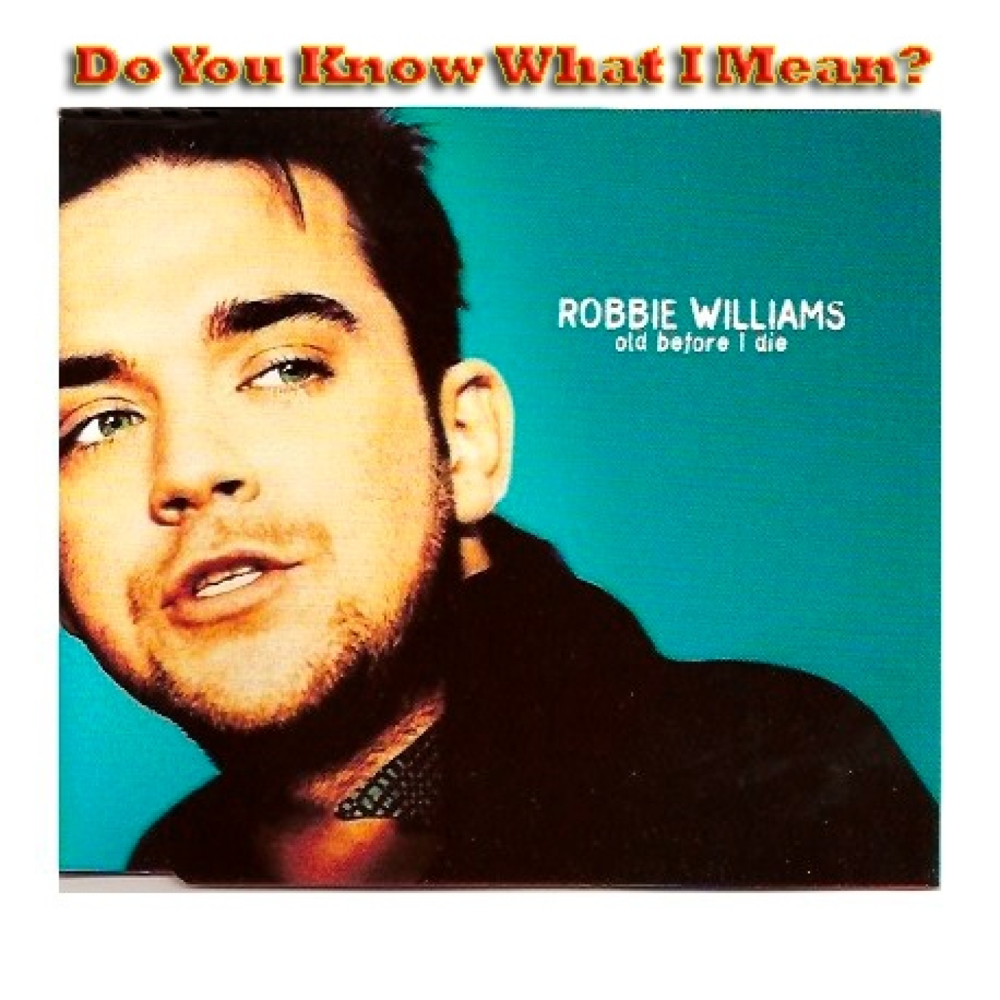 Do You Know What I Mean?