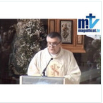 Homilía 1/11/21 “Santos como nuestro Padre”  Martín FM -  Magnificat TV (Franciscanos de María) - Podcast en iVoox