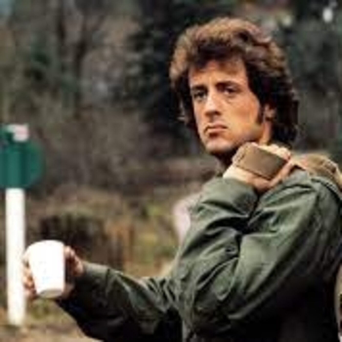Stallone de mi vida