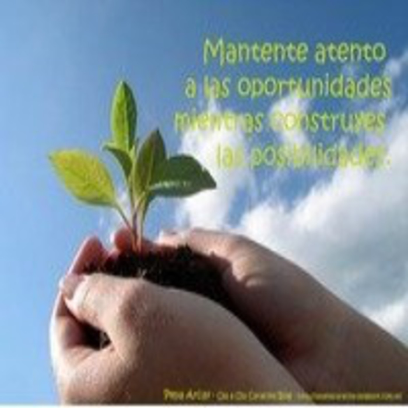 Audioblog Ola a Ola Caracola