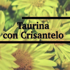 Nutribella - TAURINA CON CRISANTELO