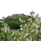 Falca visita castell d'Hostalric