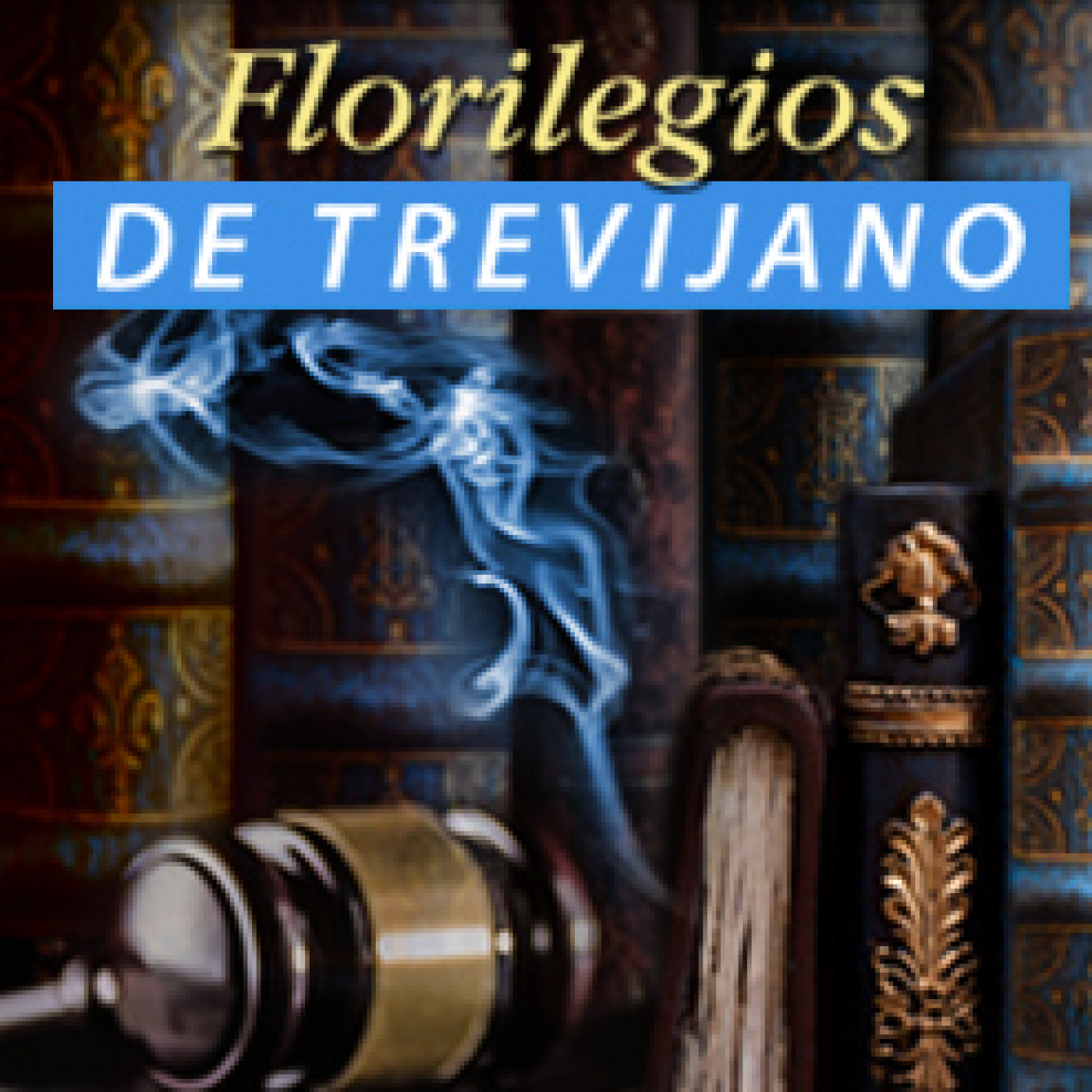 Radio Libertad Constituyente