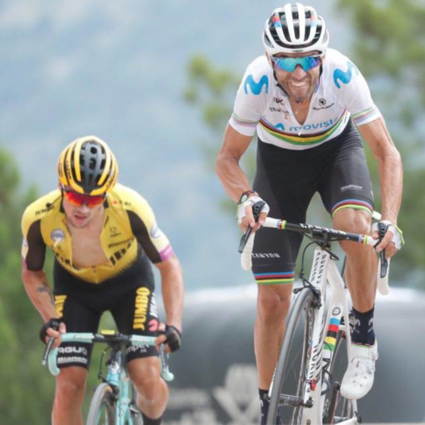 EL SELLO CICLISTA
