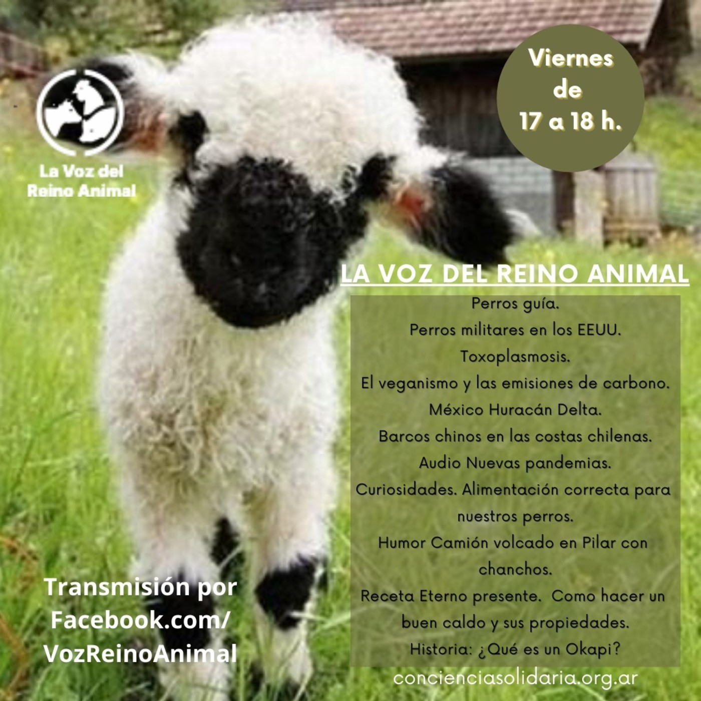 #LaVozDelReinoAnimal 16.10.2020 episode artwork