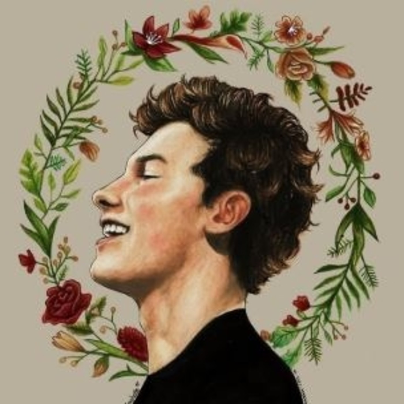 The Only Reason I Came To This Party · Shawn Mendes