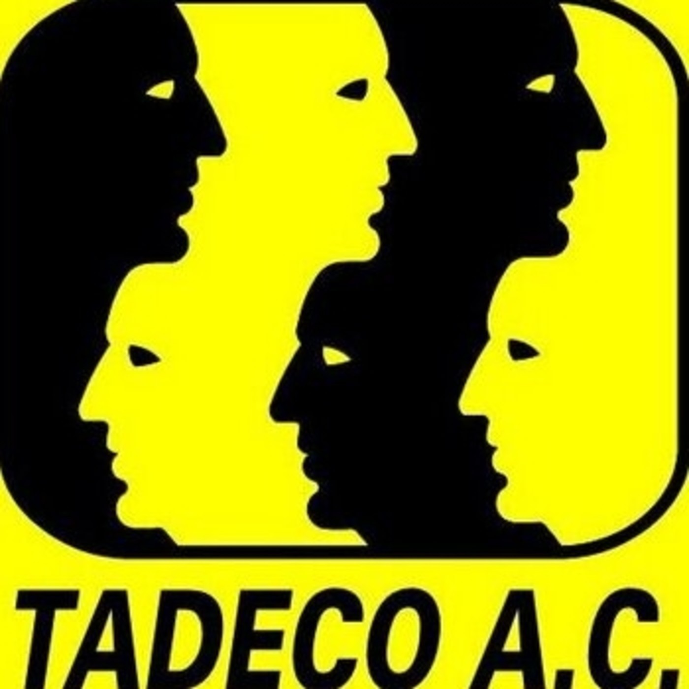 Audios Taller Desarrollo Comunitario A.C.