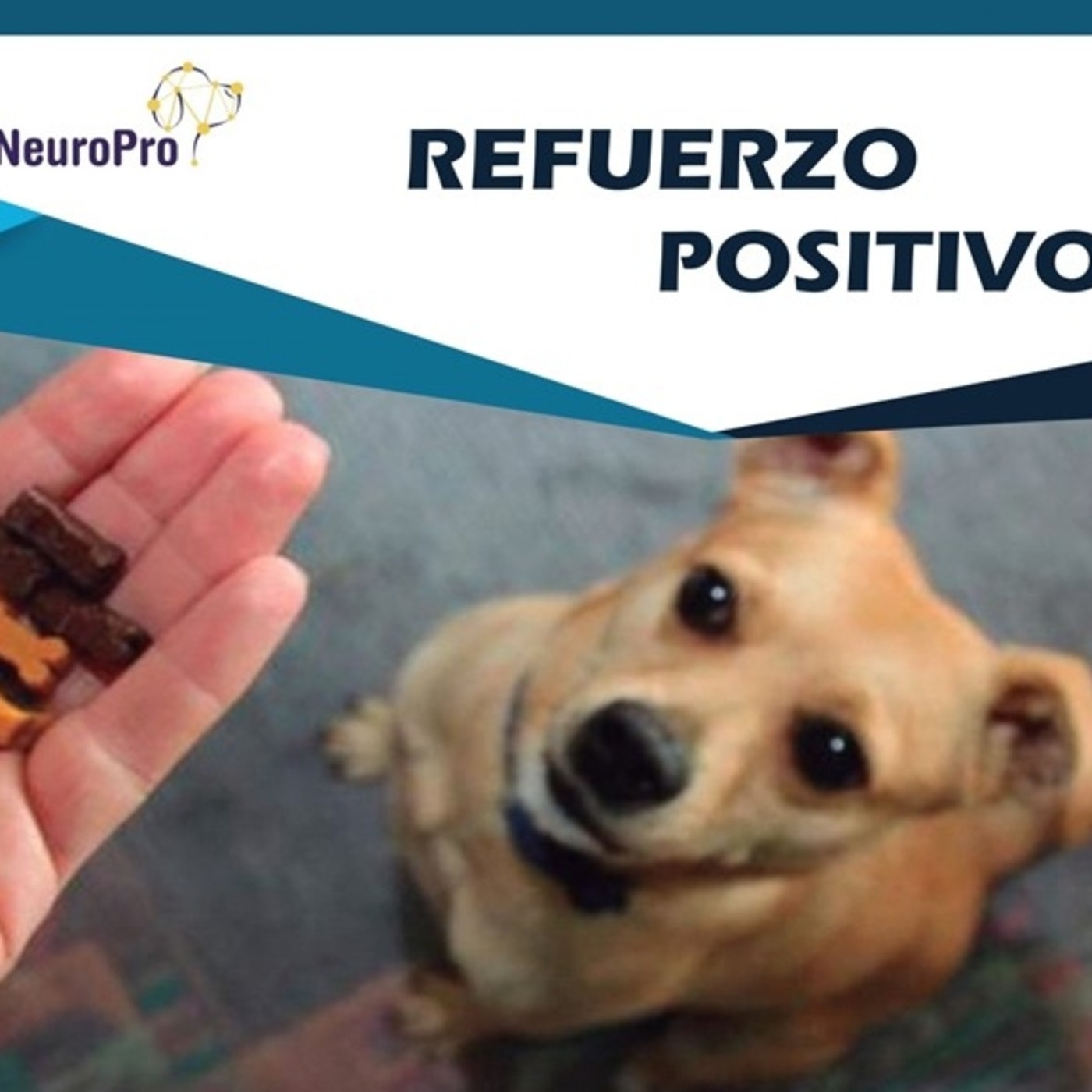 NeuroPro \
