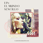 Episodio 1 (EP1): El Mundo Sencillo