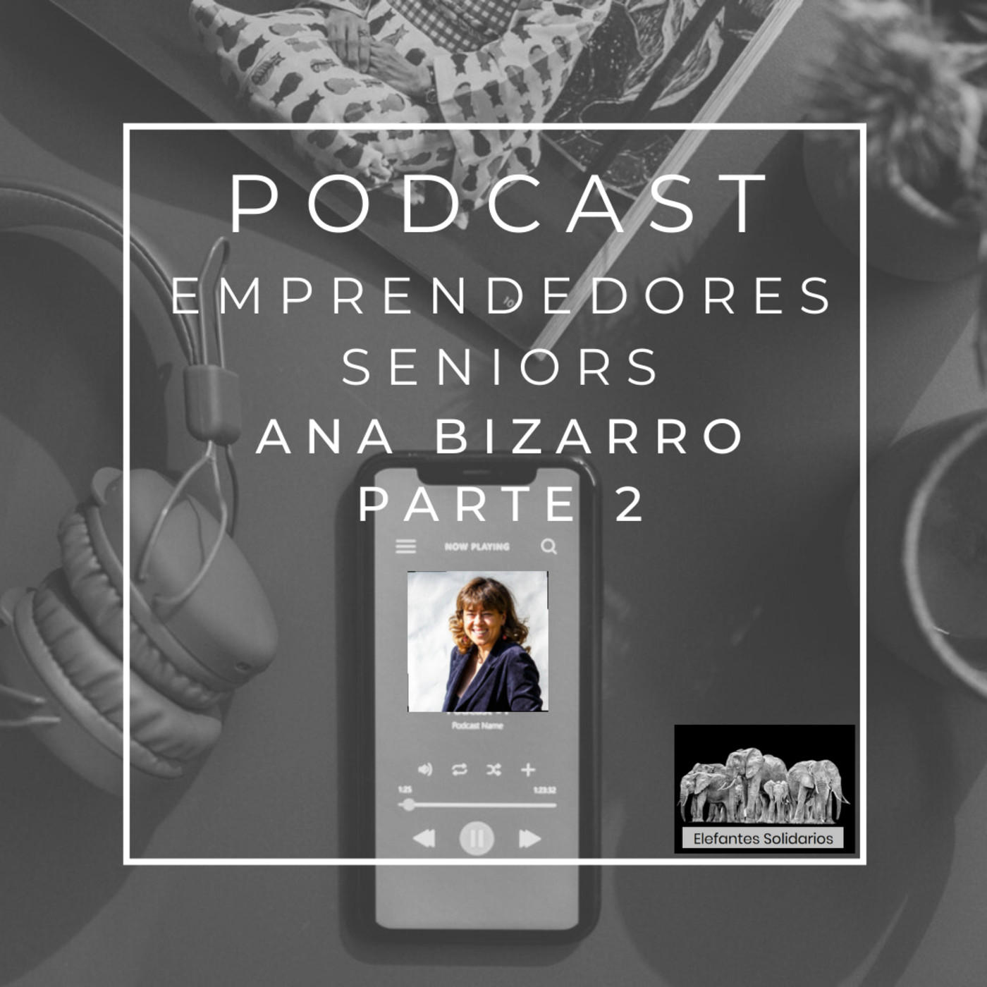 Episodio 48 - Ana Bizarro Parte 2 episode artwork