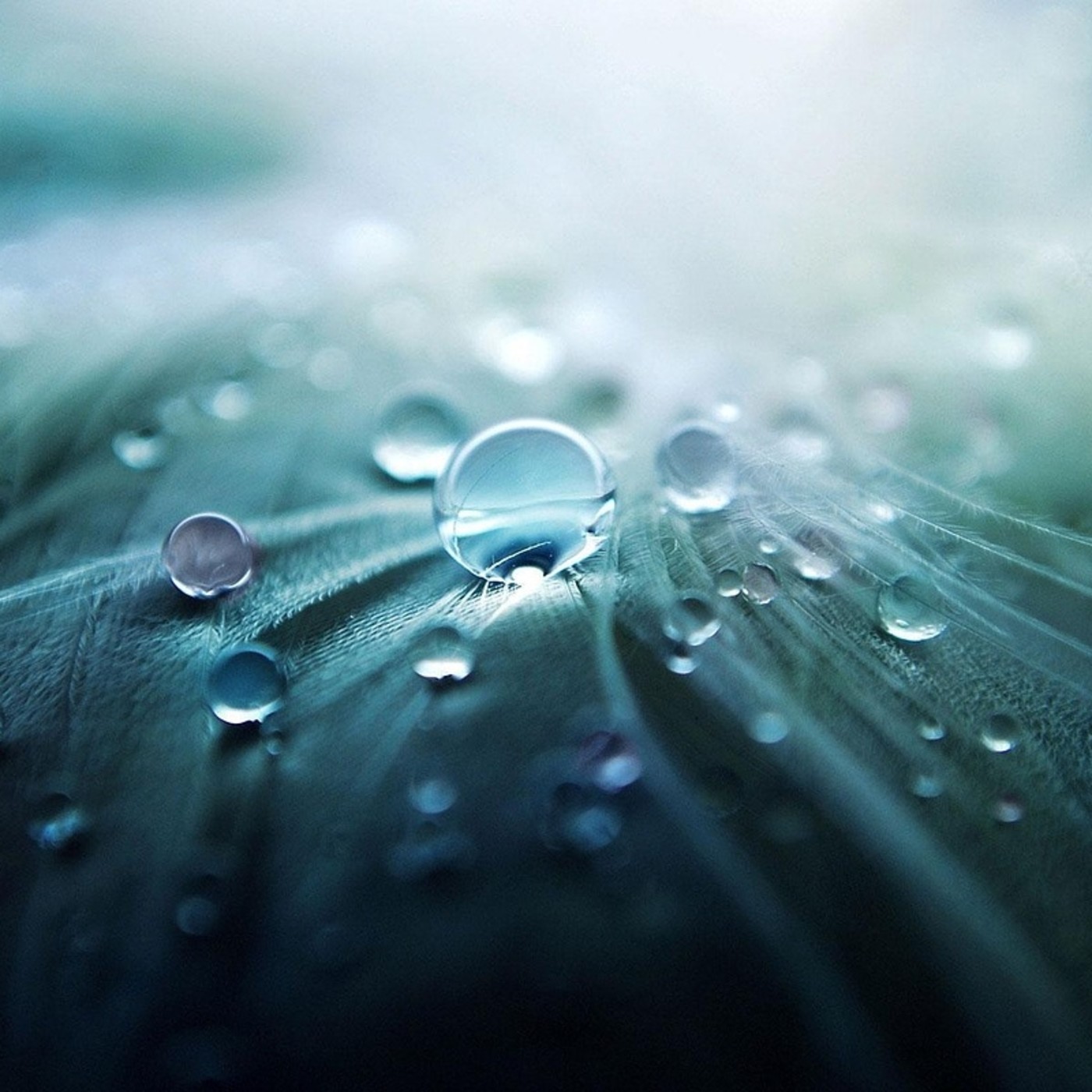 Radio Encuentro: TIEMPO DE CAMBIO