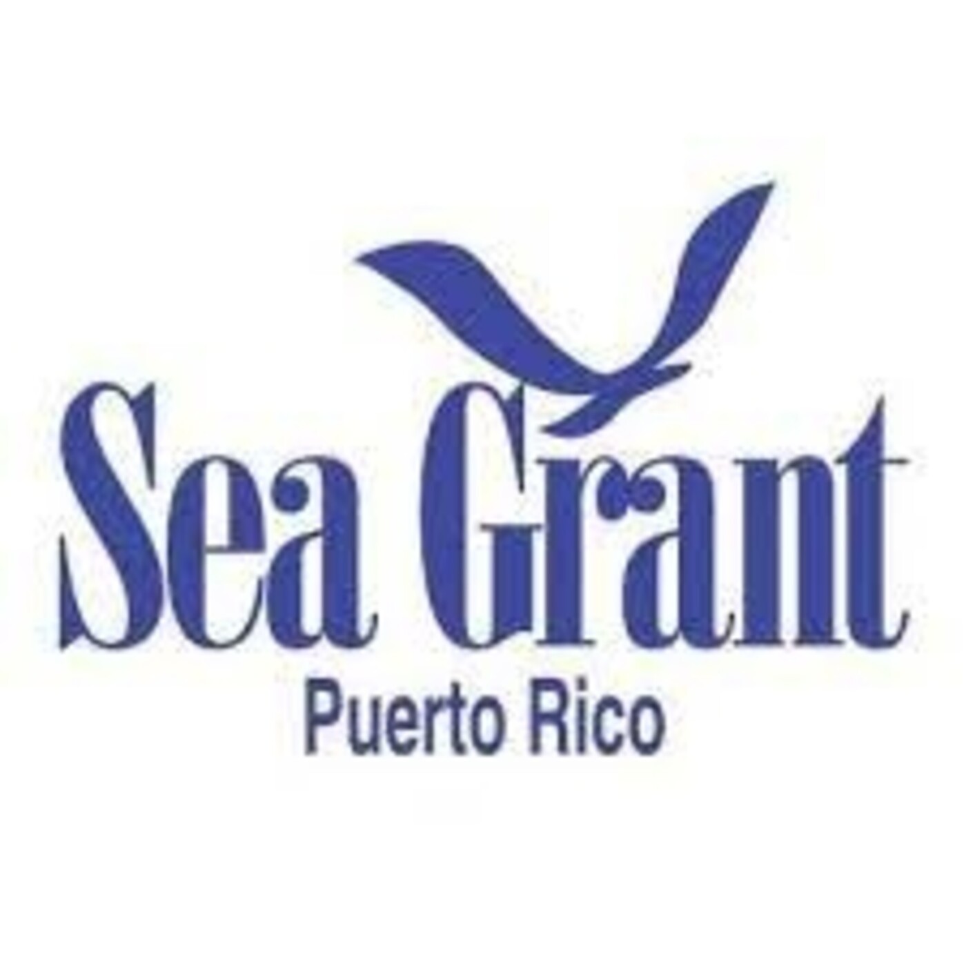 Le va la vida a los corales. Sea Grant en la casa episode artwork