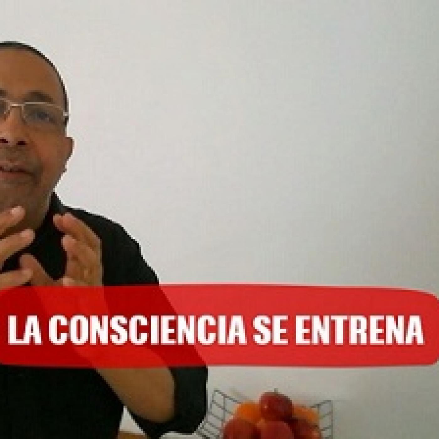 El Juego De La Vida