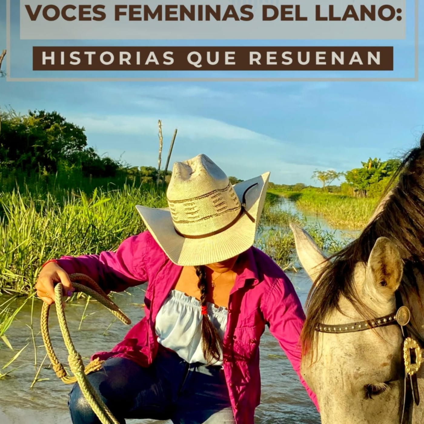 Miradas y Voces
