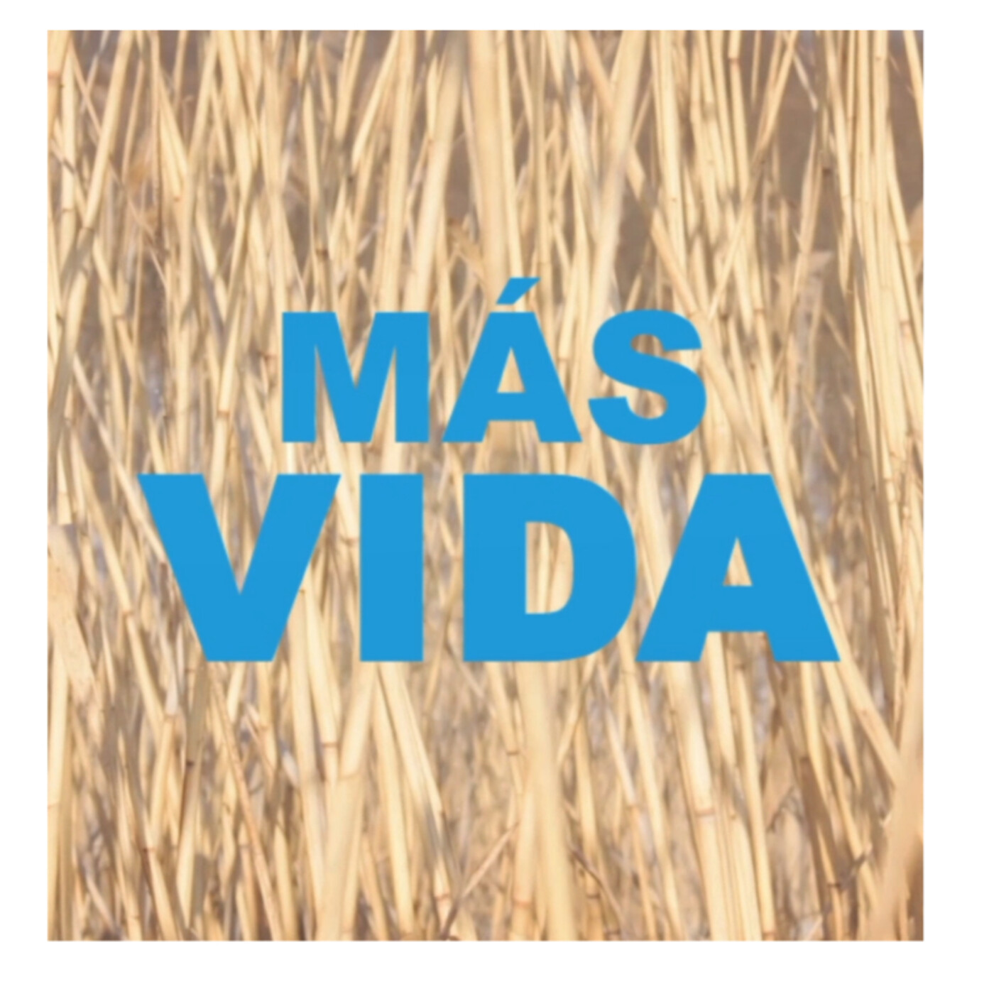 MÁS VIDA