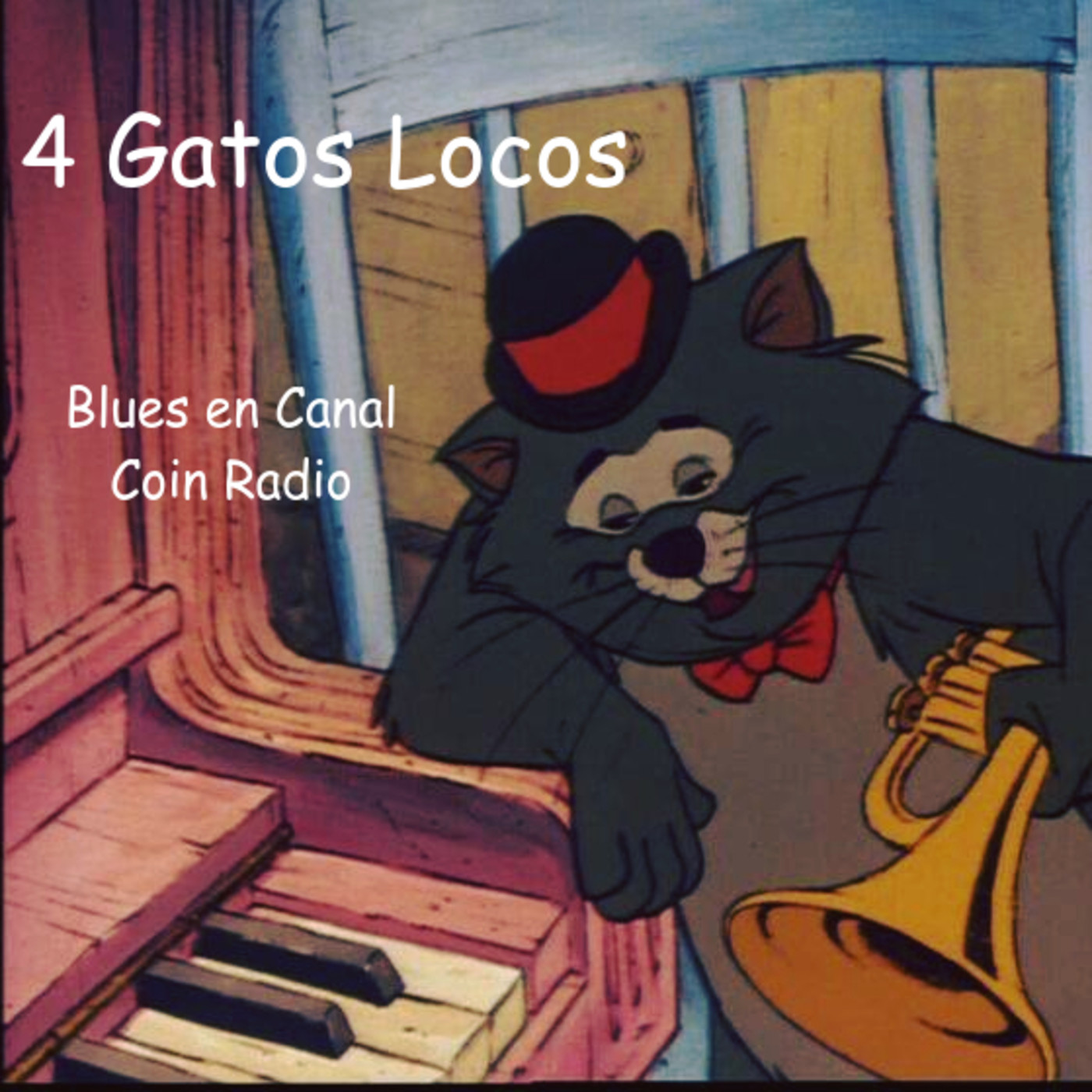 4 gatos locos