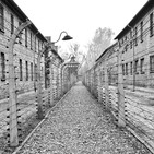 ENIGMA EXPRESS: Historias de amor en el Holocausto