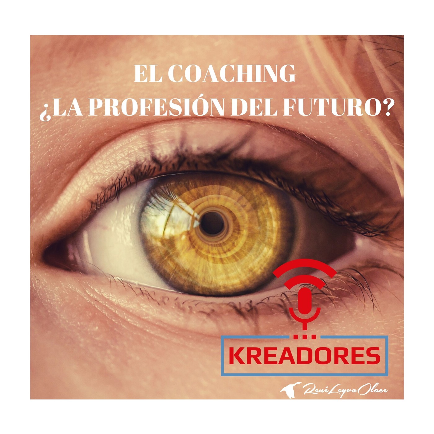 KREADORES