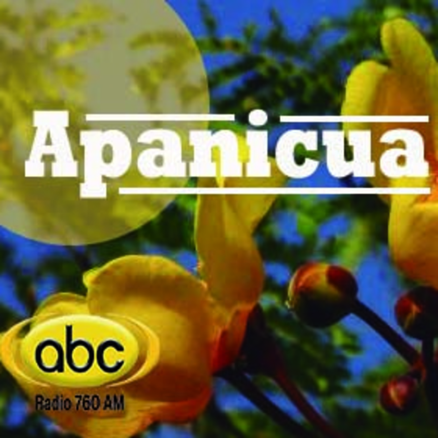 El Ángel de tu Salud - APANICUA episode artwork