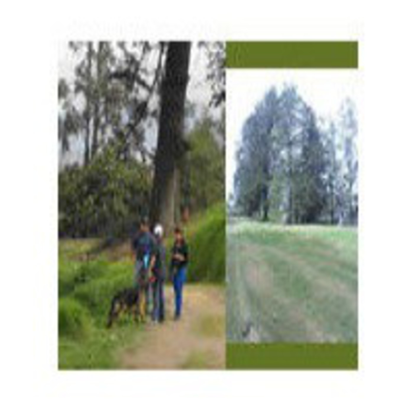 Planeta Verde Azul / Planeta Antitaurino