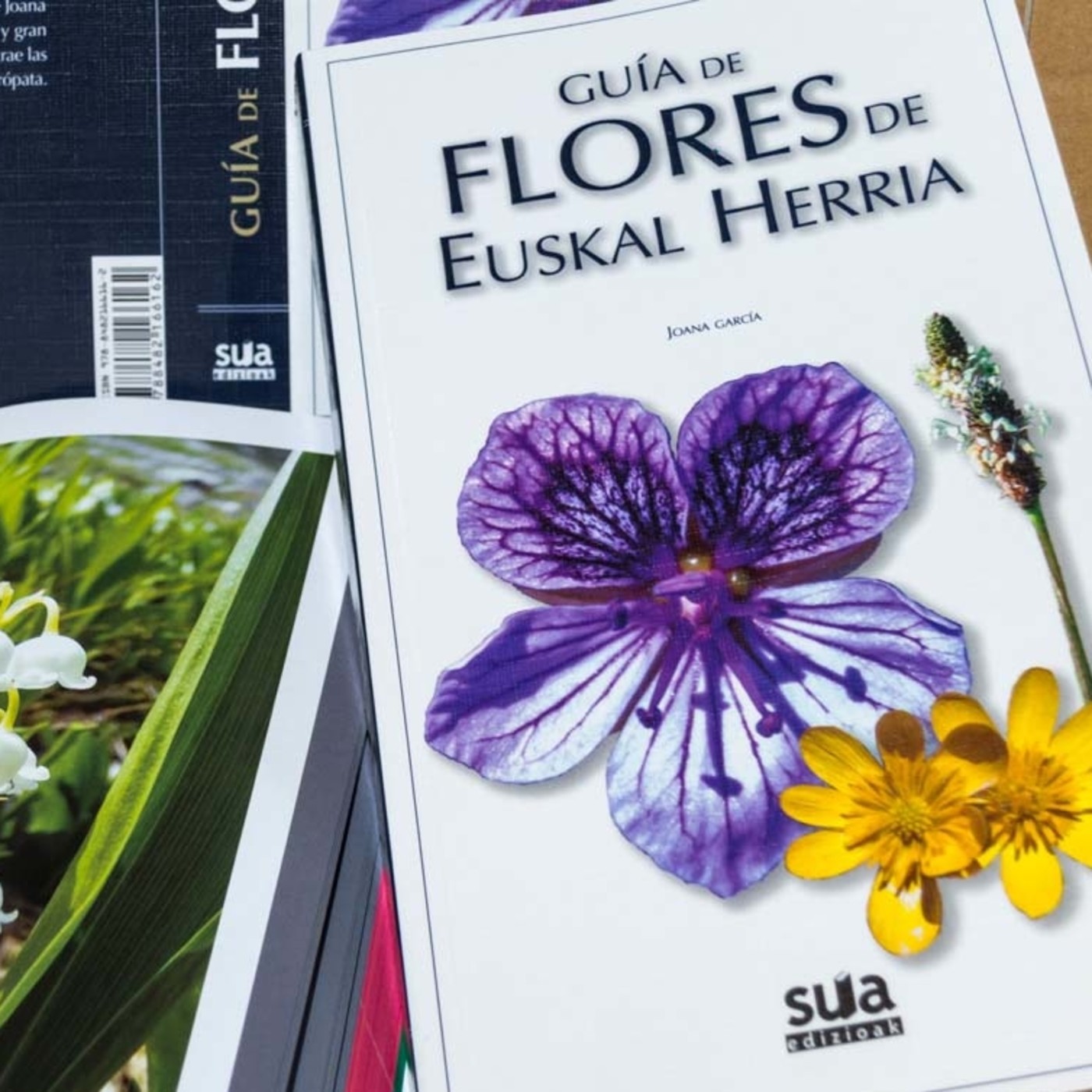 "Guía de Flores de Euskal Herria" (Radio Popular de Bilbao - Herri Irratia) episode artwork
