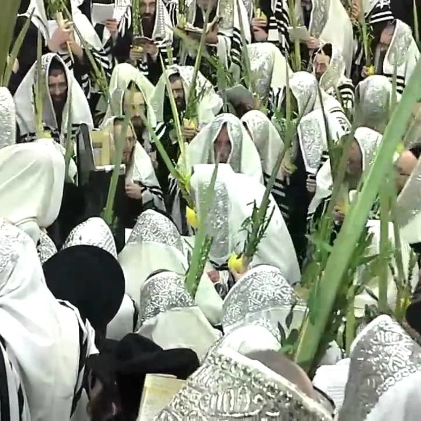 Hoshaná Rabá