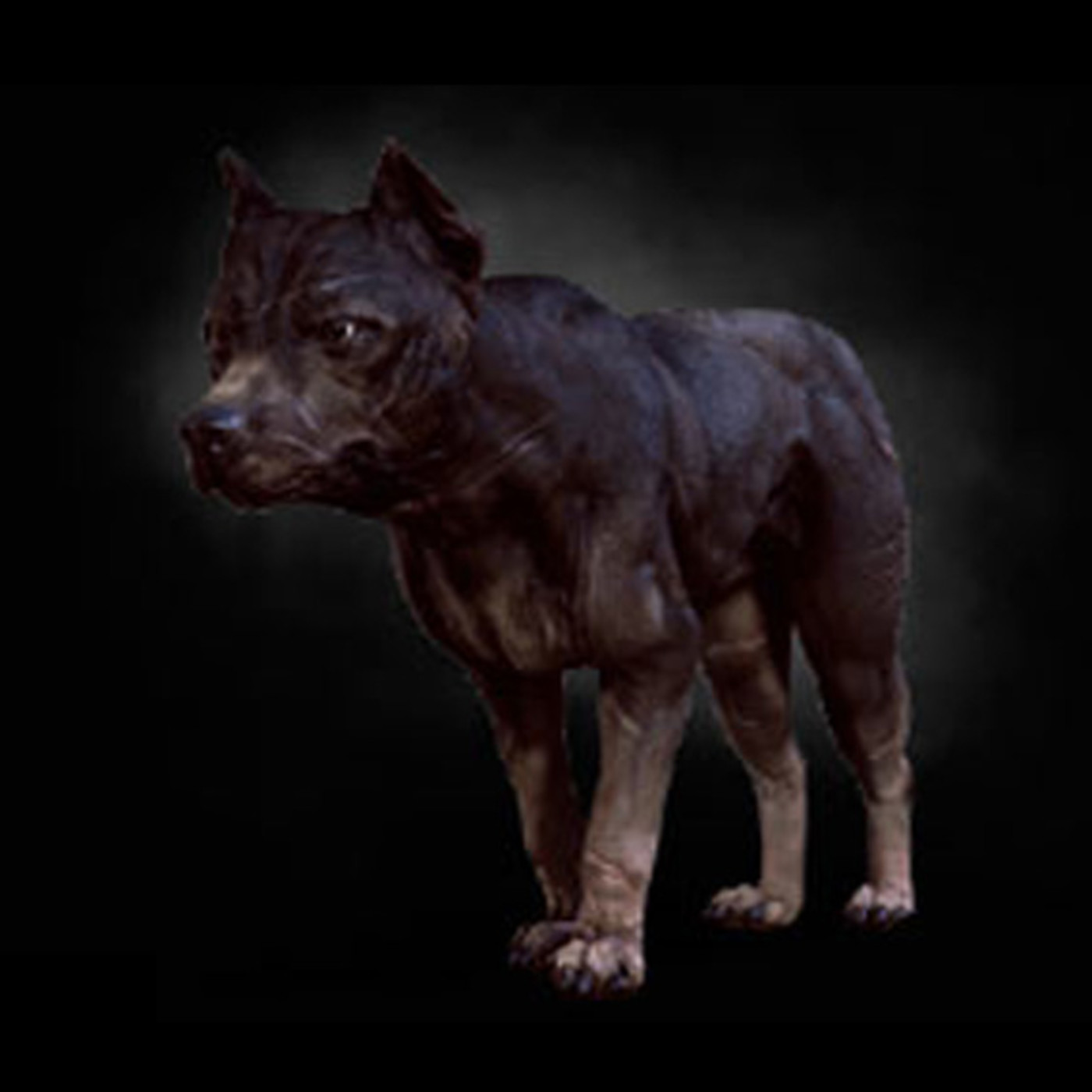 MISTERIOS ON AIR. T2X37. ANIMALES MALDITOS Y PERSEGUIDOS episode artwork