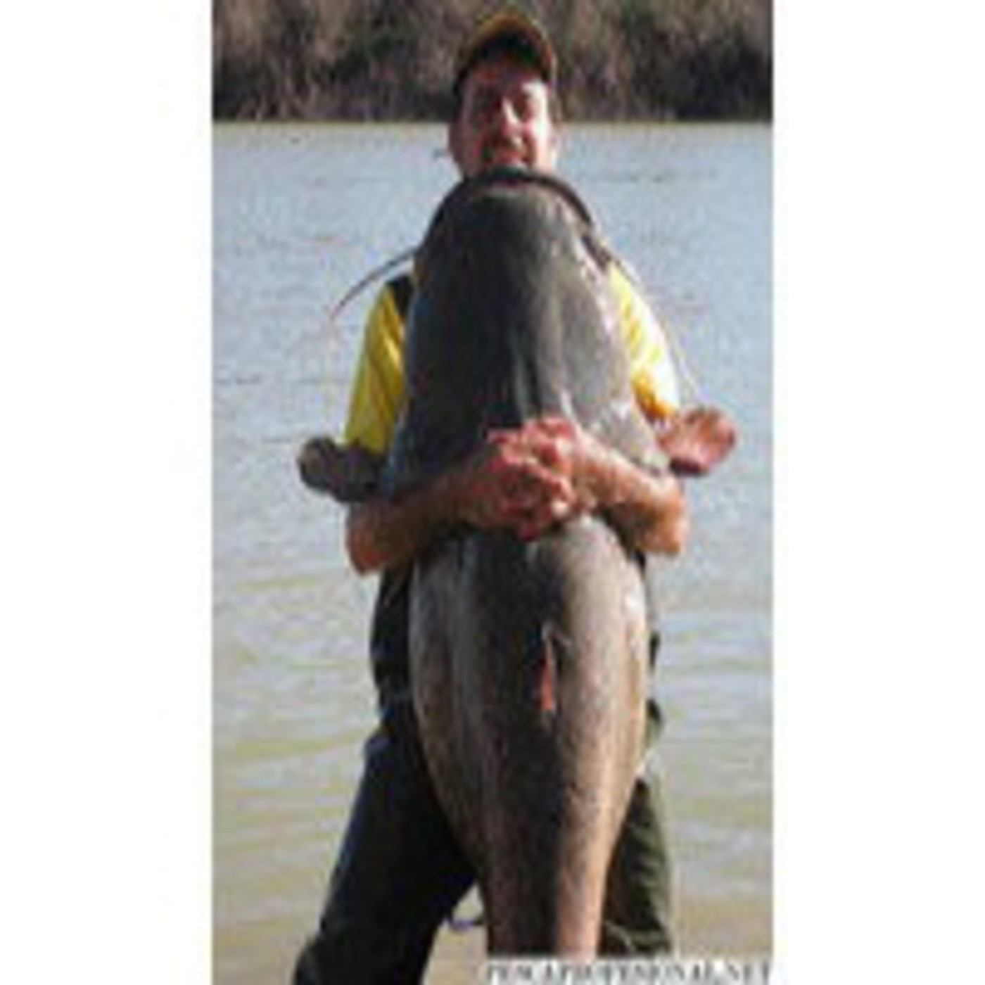Podcast DIAL DE PESCA