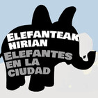 'Elefantes en la ciudad', descubre la biodiversidad pétrea de Donostia