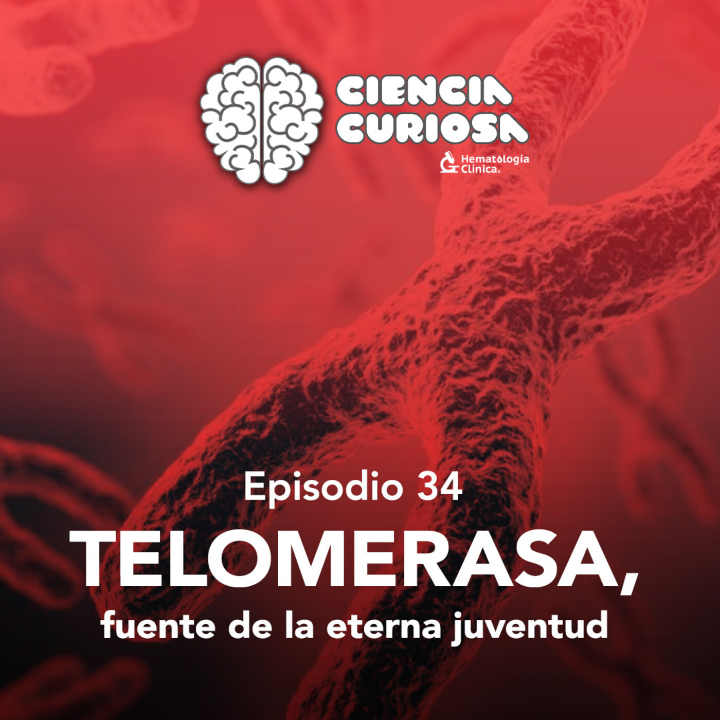 Ciencia Curiosa