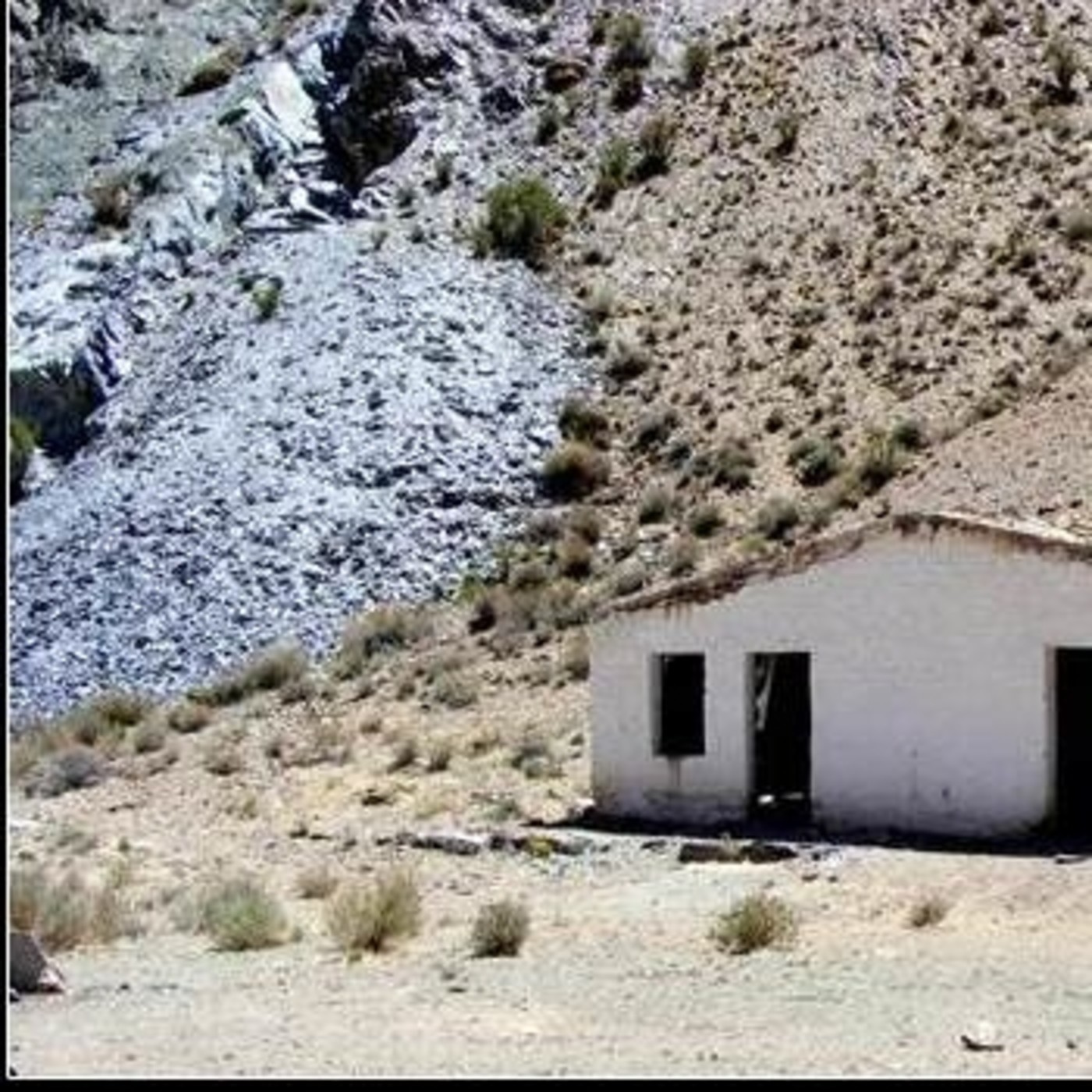 Lo que dicen Los Vecinos