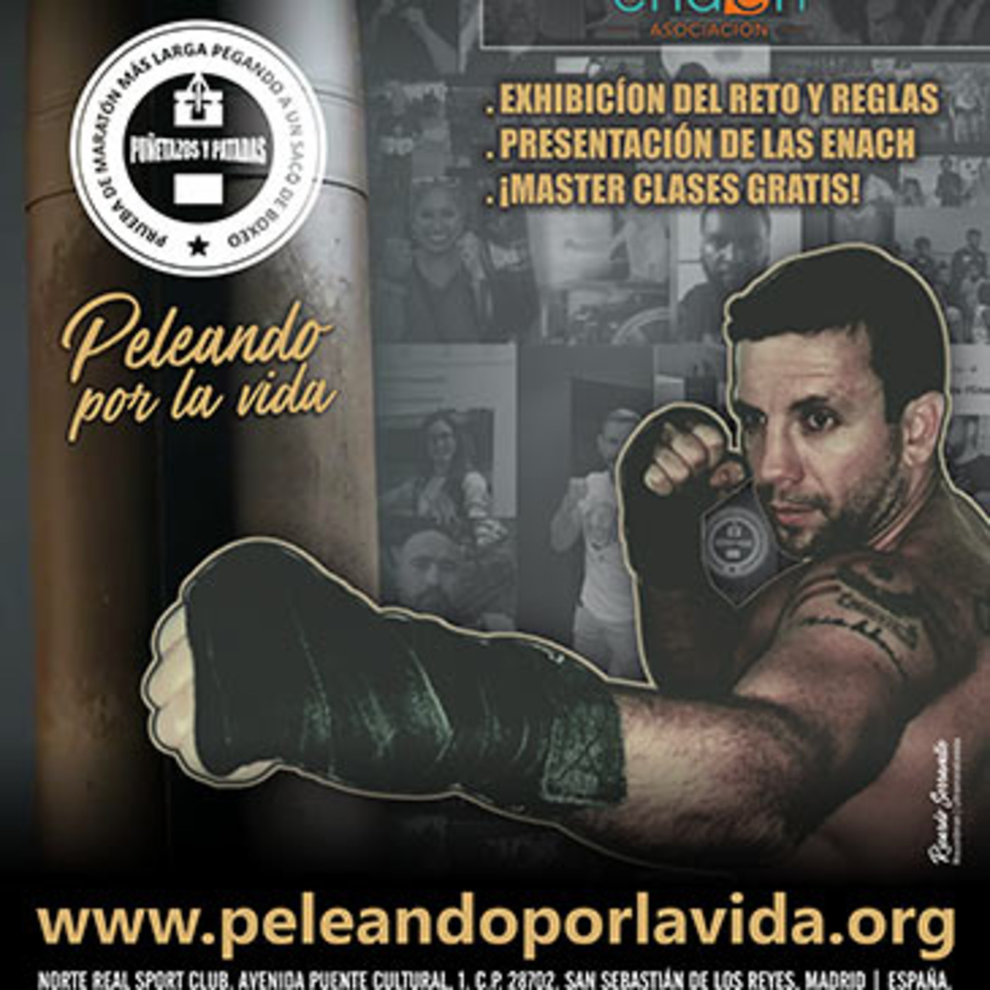 Dragonz | Artes Marciales y Deportes de Contacto