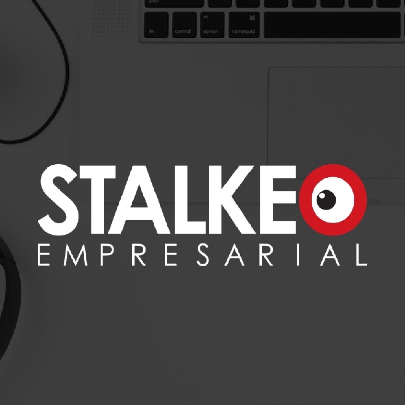 Stalkeo Empresarial