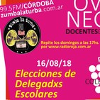 Emergencia educativa y elecciones de delegadxs - ovejas negras